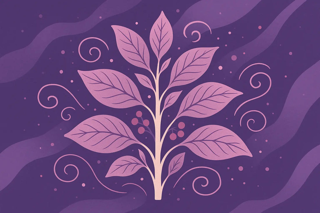 Ashwagandha & PMS: Can This Ancient Herb Soothe Your Cycle? 🌿